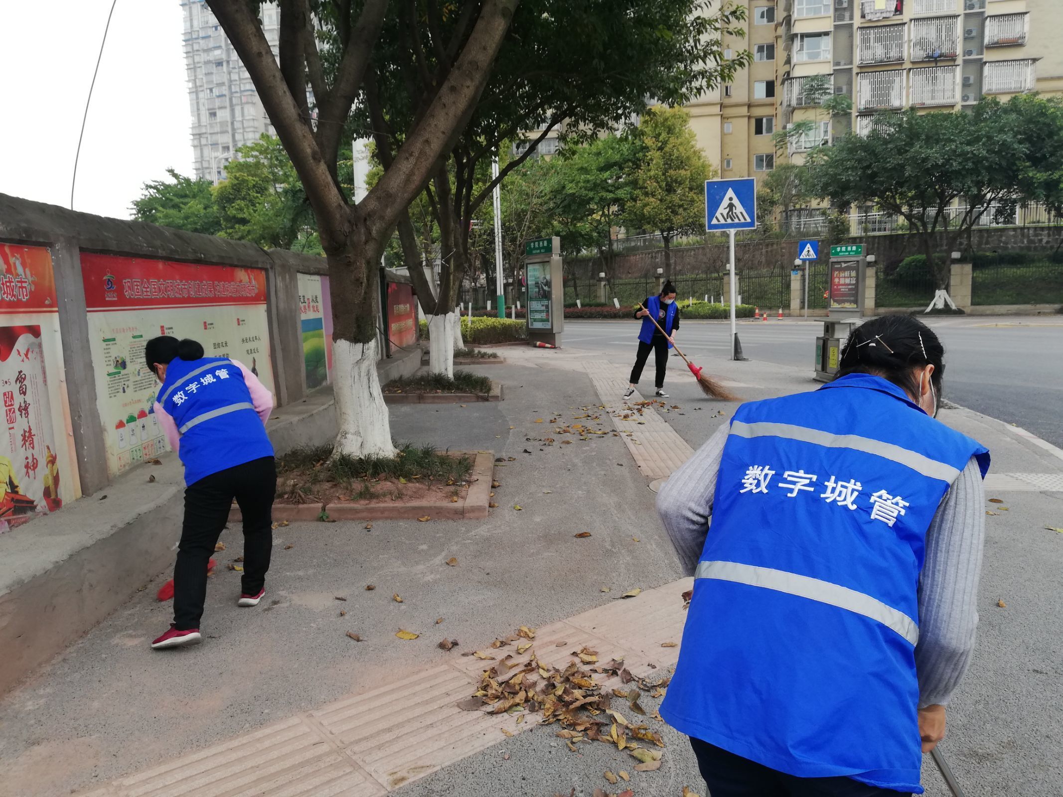 瀘州-愛國(guó)衛(wèi)生運(yùn)動(dòng)